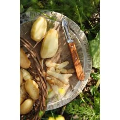 Opinel Coffret Les Essentiels Olivier -Magasin D'Articles De Cuisine 411056 2 2 Coffret Les Essentiels Olivier Opinel