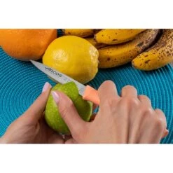 Set 3 Couteaux D'office 8,5 Cm Coloris Pastel -Magasin D'Articles De Cuisine 419014 3 2 Set 3 couteaux d office 8 5 cm coloris pastel Arcos