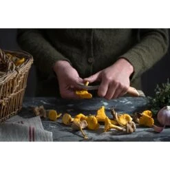 Opinel Couteau à Champignons Pliant N°8 Lame Inox 8 Cm -Magasin D'Articles De Cuisine 471156 1 3 Couteau a champignons pliant N 8 lame inox 8 cm Opinel