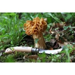Opinel Couteau à Champignons Pliant N°8 Lame Inox 8 Cm -Magasin D'Articles De Cuisine 471156 2 3 Couteau a champignons pliant N 8 lame inox 8 cm Opinel