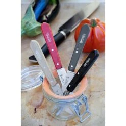 Opinel Coffret 4 Couteaux Essentiels Loft -Magasin D'Articles De Cuisine 471165 2 3 Coffret 4 couteaux Essentiels Loft Opinel