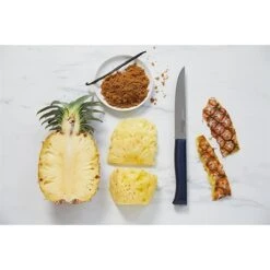 Opinel Couteau à Découper Intempora N°220 16 Cm -Magasin D'Articles De Cuisine 471254 3 3 Couteau a decouper Intempora n 220 16 cm Opinel