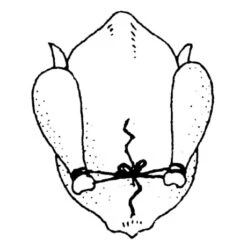 Ficelle De Cuisine 152 M -Magasin D'Articles De Cuisine 601080 3 1 Ficelle de cuisine 152 m