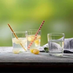 Presse-agrume For Drinks 9 Presse-agrume For Drinks -Magasin D'Articles De Cuisine 613032 2 1 Presse agrume For Drinks Betty Bossi